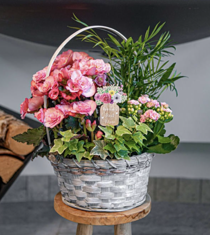 Mothers Day Gifting - Flowers